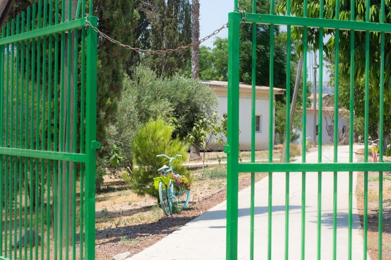 Aliyah Return Center Bed and Breakfast Degania Bet Εξωτερικό φωτογραφία